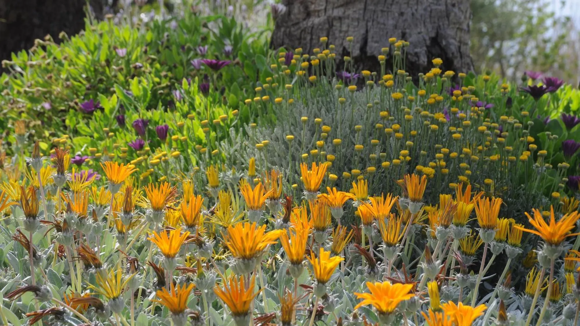 Agroturismo Finca Sant Blai Campos  Campos (Mallorca)