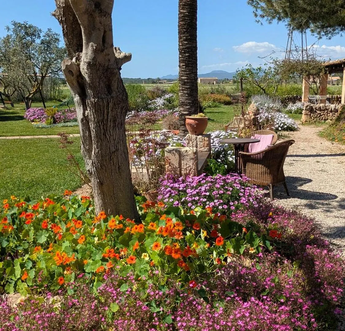 Agroturismo Finca Sant Blai Campos  Country house