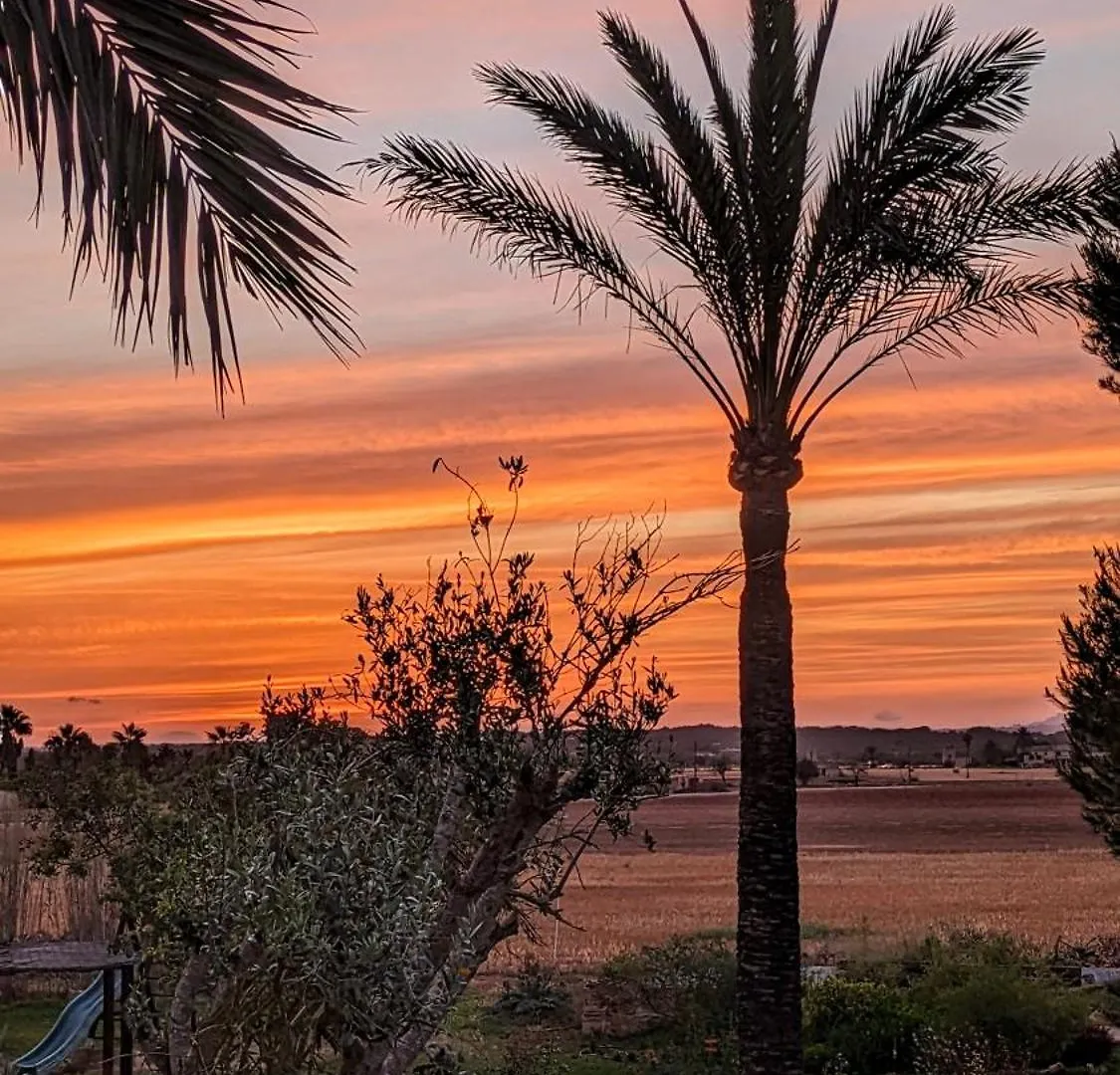 Country house Agroturismo Finca Sant Blai Campos  Spain