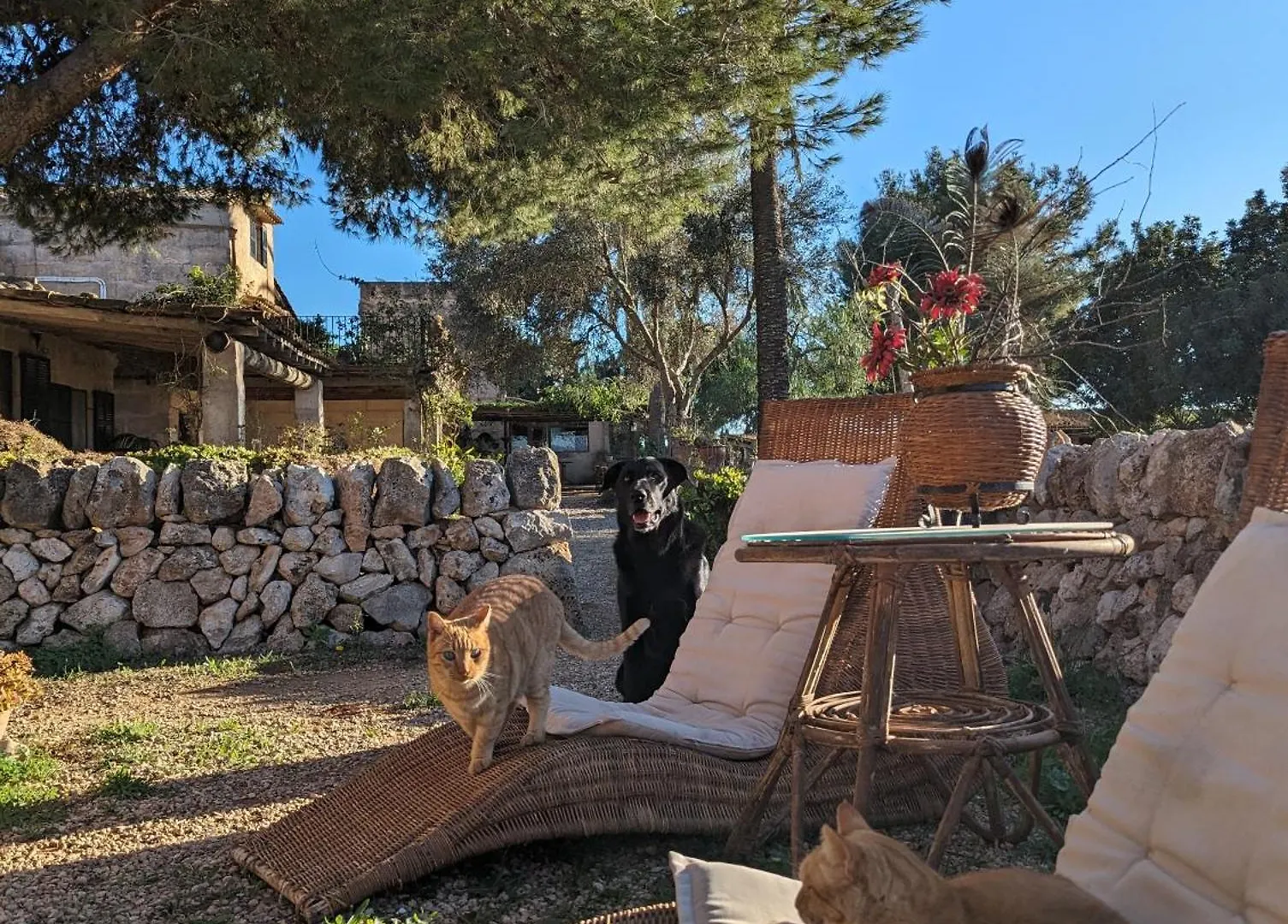 Agroturismo Finca Sant Blai Campos