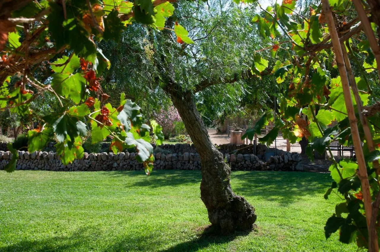 Agroturismo Finca Sant Blai Campos  Spain