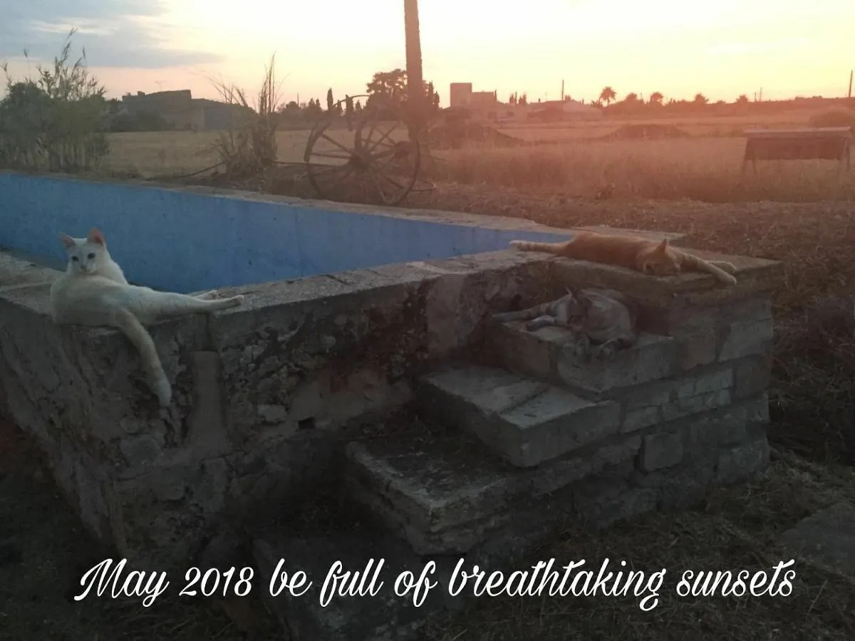 Agroturismo Finca Sant Blai Campos  Country house