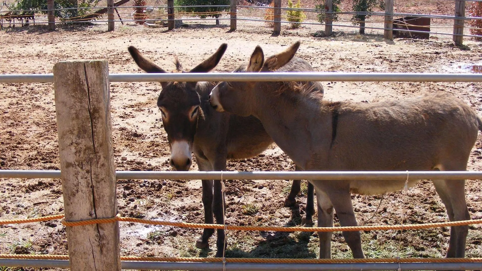 Agroturismo Finca Sant Blai Campos  Spain