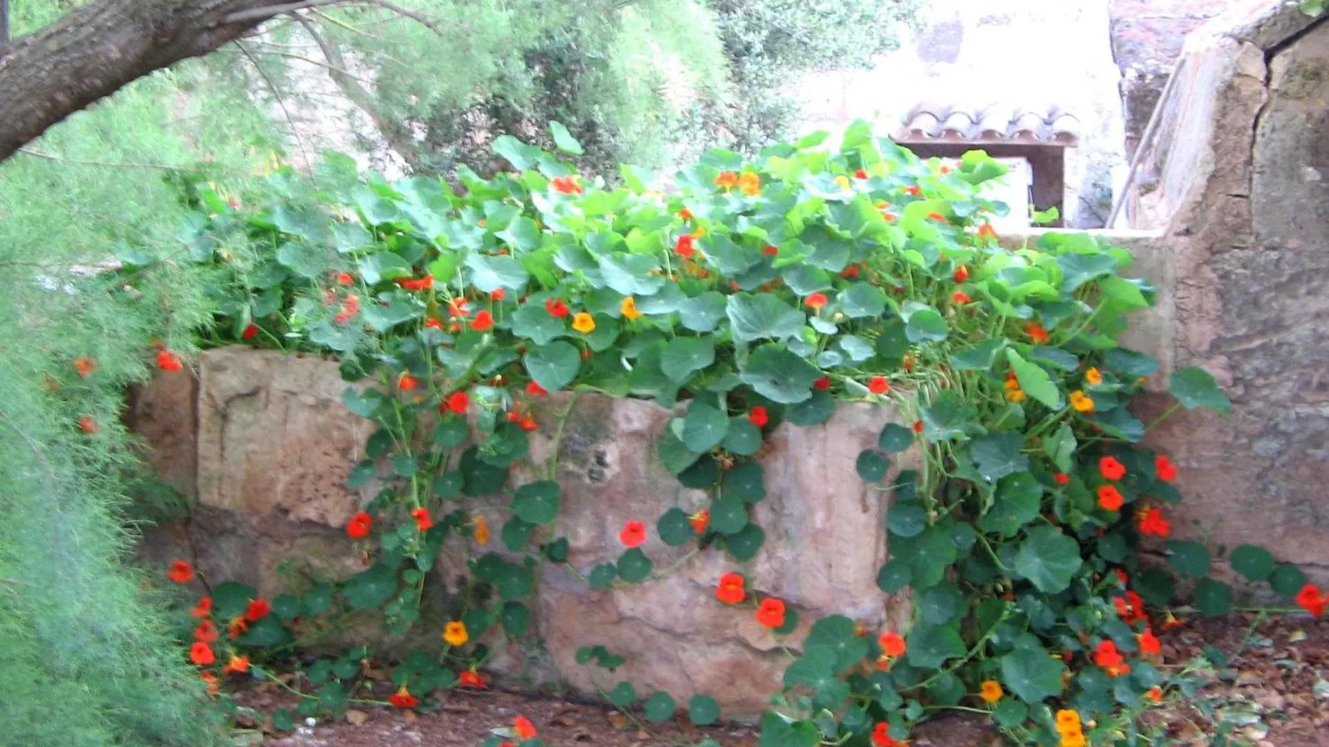 Agroturismo Finca Sant Blai location