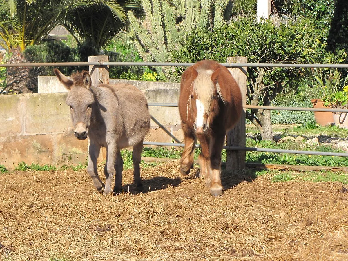 Agroturismo Finca Sant Blai Campos