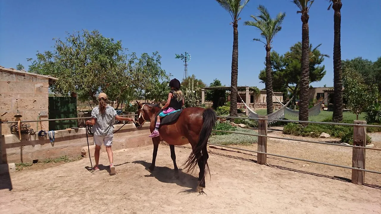 Country house Agroturismo Finca Sant Blai Campos  Spain