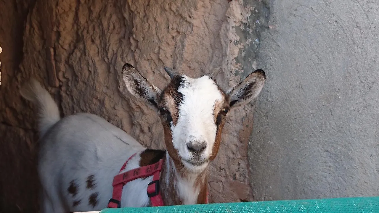 Agroturismo Finca Sant Blai Campos  Campos (Mallorca)